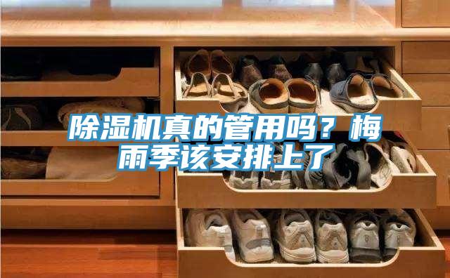 除濕機真的管用嗎？梅雨季該安排上了