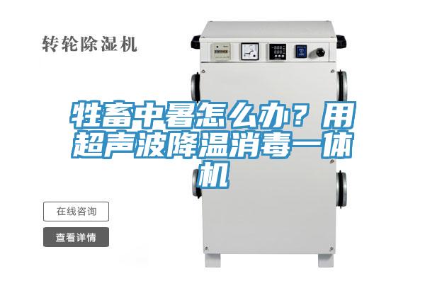 牲畜中暑怎么辦？用超聲波降溫消毒一體機(jī)