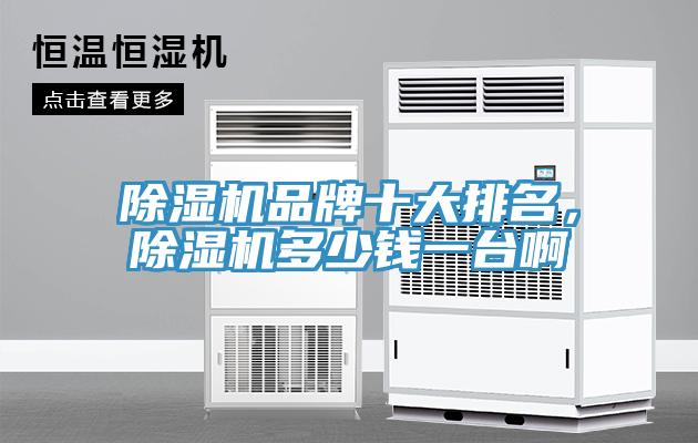 除濕機(jī)品牌十大排名，除濕機(jī)多少錢一臺啊