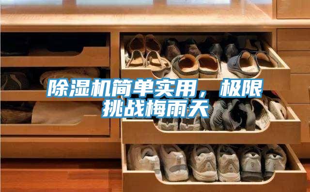 除濕機簡單實用，極限挑戰(zhàn)梅雨天