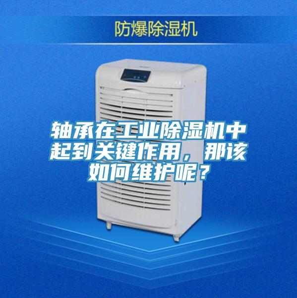 軸承在工業(yè)除濕機(jī)中起到關(guān)鍵作用，那該如何維護(hù)呢？
