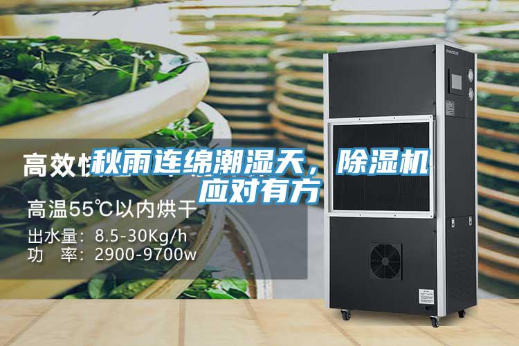 秋雨連綿潮濕天，除濕機(jī)應(yīng)對(duì)有方