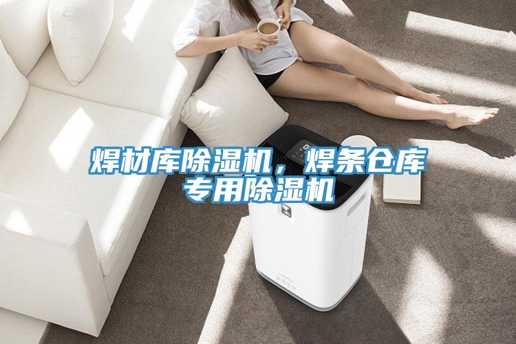 焊材庫除濕機(jī)，焊條倉庫專用除濕機(jī)