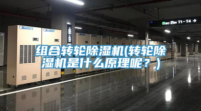 組合轉(zhuǎn)輪除濕機(jī)(轉(zhuǎn)輪除濕機(jī)是什么原理呢？)