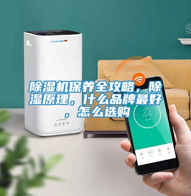 除濕機保養(yǎng)全攻略，除濕原理，什么品牌最好，怎么選購