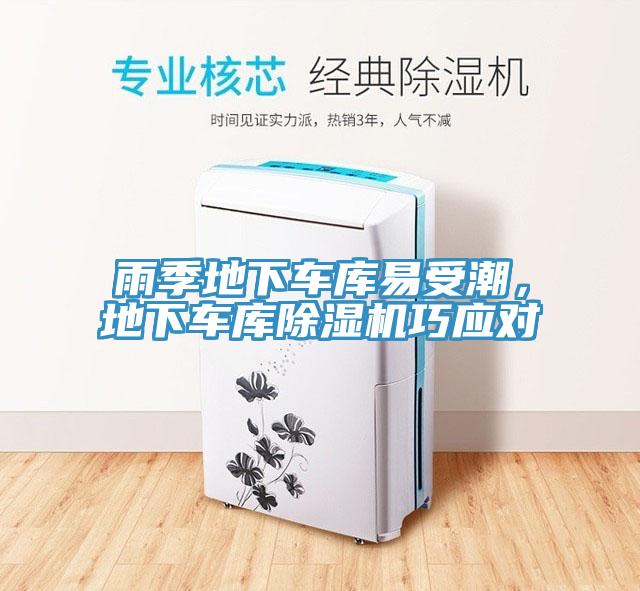 雨季地下車庫易受潮，地下車庫除濕機(jī)巧應(yīng)對