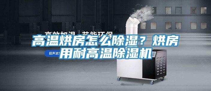 高溫烘房怎么除濕？烘房用耐高溫除濕機(jī)