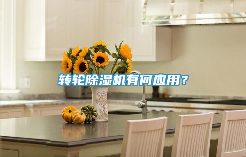 轉(zhuǎn)輪除濕機有何應用？