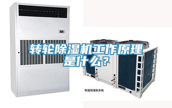 轉(zhuǎn)輪除濕機(jī)工作原理是什么？