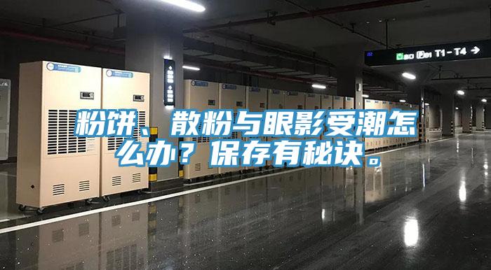 粉餅、散粉與眼影受潮怎么辦？保存有秘訣。