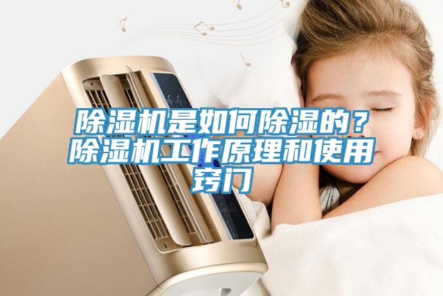 除濕機是如何除濕的？除濕機工作原理和使用竅門