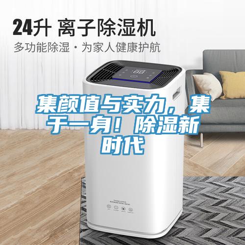 集顏值與實(shí)力，集于一身！除濕新時(shí)代