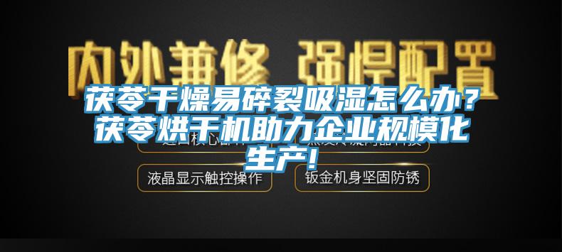 茯苓干燥易碎裂吸濕怎么辦？茯苓烘干機(jī)助力企業(yè)規(guī)?；a(chǎn)!