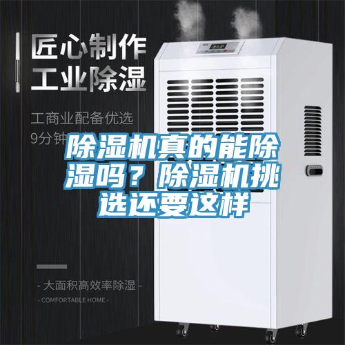 除濕機真的能除濕嗎？除濕機挑選還要這樣