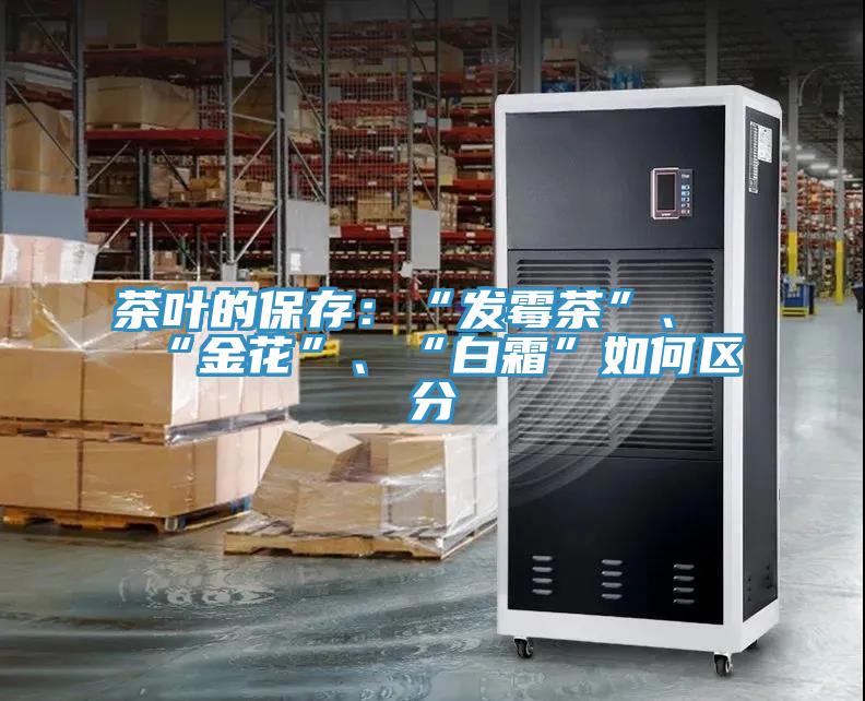茶葉的保存：“發(fā)霉茶”、“金花”、“白霜”如何區(qū)分