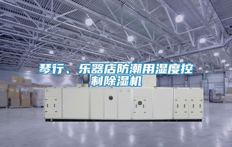 琴行、樂器店防潮用濕度控制除濕機(jī)