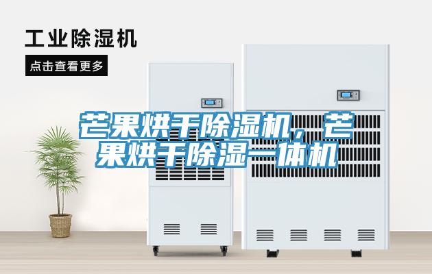 芒果烘干除濕機(jī)，芒果烘干除濕一體機(jī)