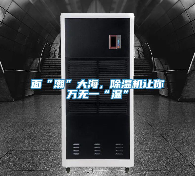 面“潮”大海，除濕機(jī)讓你萬無一“濕”