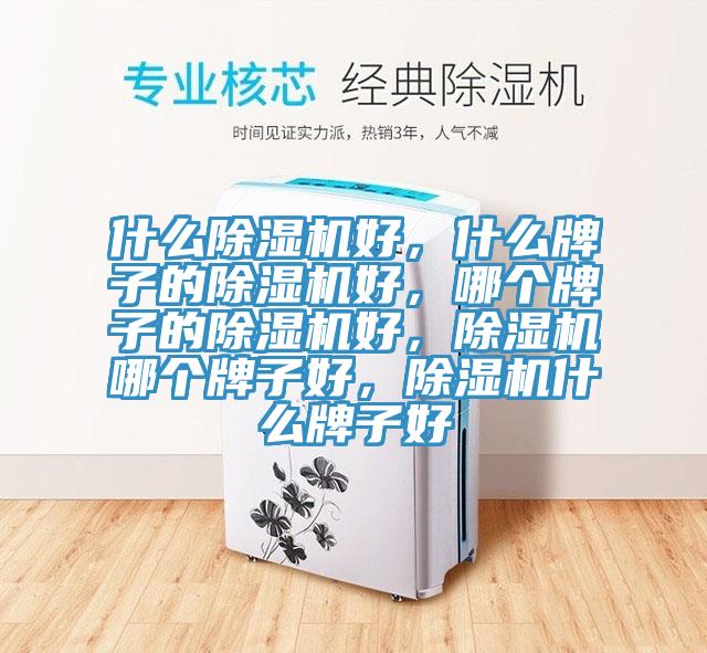 什么除濕機(jī)好，什么牌子的除濕機(jī)好，哪個(gè)牌子的除濕機(jī)好，除濕機(jī)哪個(gè)牌子好，除濕機(jī)什么牌子好
