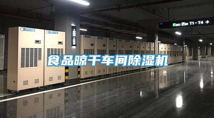 食品晾干車(chē)間除濕機(jī)