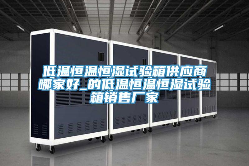 低溫恒溫恒濕試驗(yàn)箱供應(yīng)商哪家好_的低溫恒溫恒濕試驗(yàn)箱銷(xiāo)售廠家