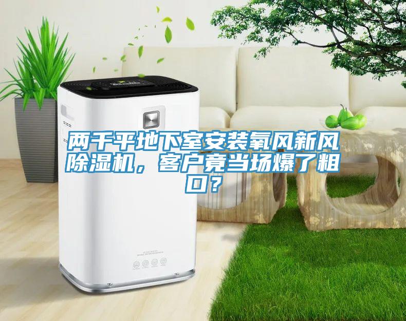 兩千平地下室安裝氧風新風除濕機，客戶竟當場爆了粗口？