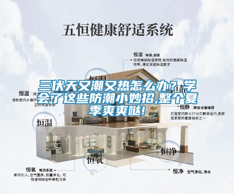 三伏天又潮又熱怎么辦？學(xué)會(huì)了這些防潮小妙招,整個(gè)夏季爽爽噠!