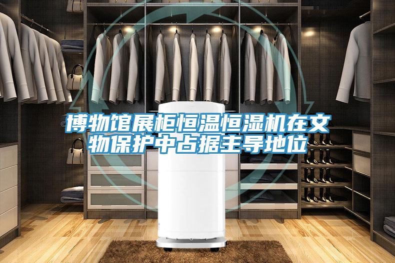 博物館展柜恒溫恒濕機在文物保護(hù)中占據(jù)主導(dǎo)地位