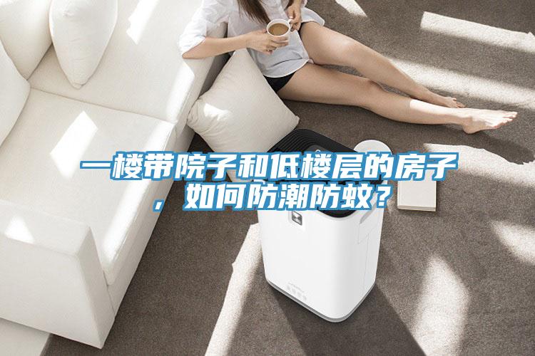 一樓帶院子和低樓層的房子，如何防潮防蚊？
