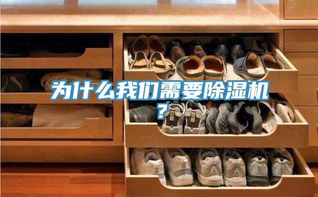 為什么我們需要除濕機(jī)？