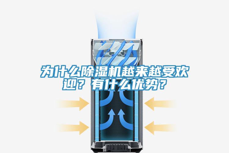 為什么除濕機(jī)越來越受歡迎？有什么優(yōu)勢？