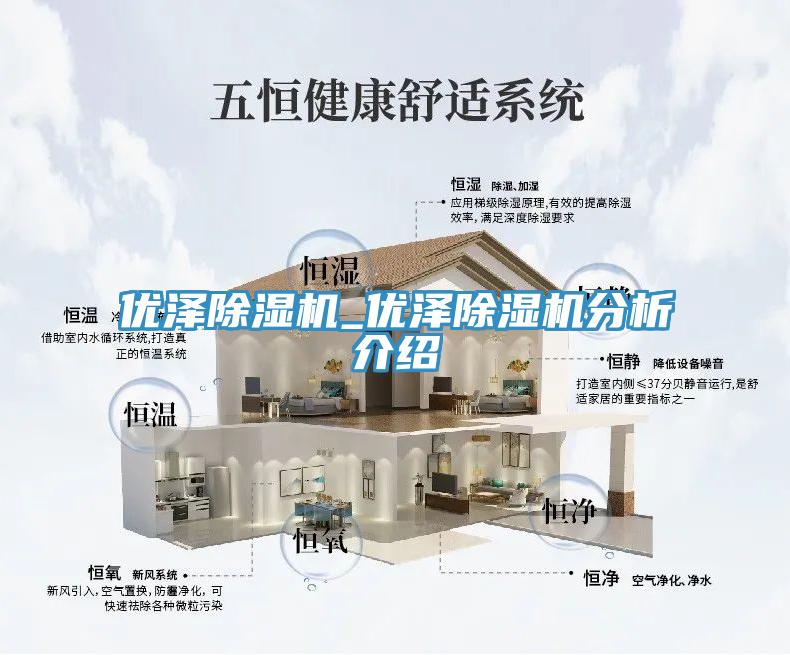 優(yōu)澤除濕機_優(yōu)澤除濕機分析介紹