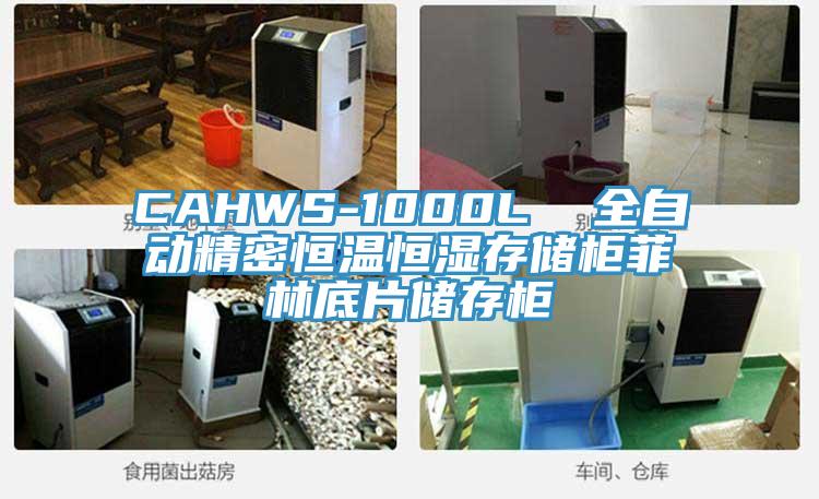 CAHWS-1000L  全自動(dòng)精密恒溫恒濕存儲柜菲林底片儲存柜
