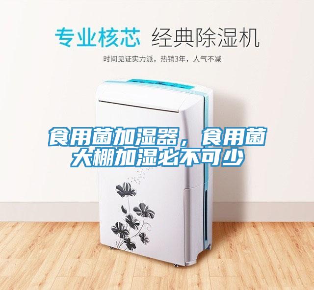 食用菌加濕器，食用菌大棚加濕必不可少