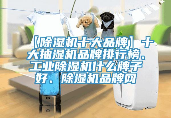 【除濕機(jī)十大品牌】十大抽濕機(jī)品牌排行榜、工業(yè)除濕機(jī)什么牌子好、除濕機(jī)品牌網(wǎng)
