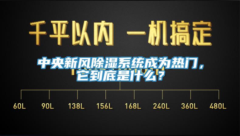 中央新風(fēng)除濕系統(tǒng)成為熱門，它到底是什么？