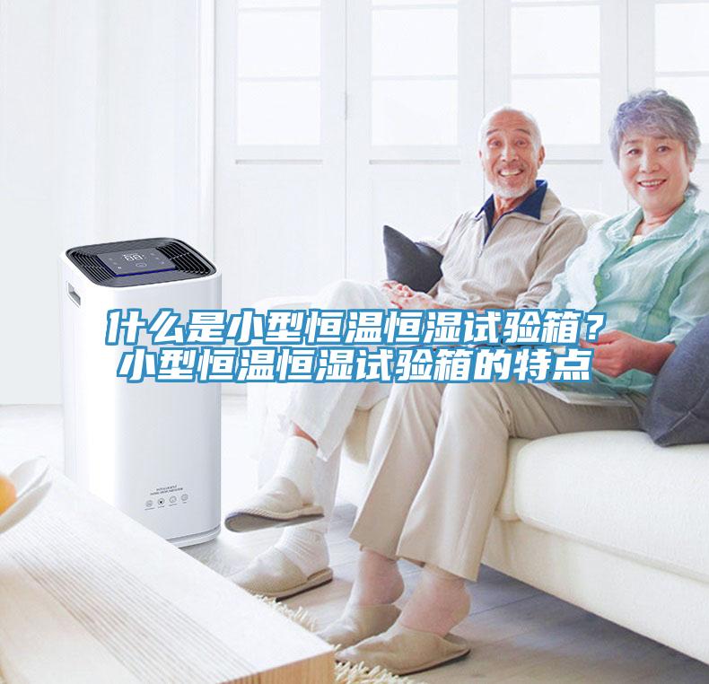 什么是小型恒溫恒濕試驗箱？小型恒溫恒濕試驗箱的特點