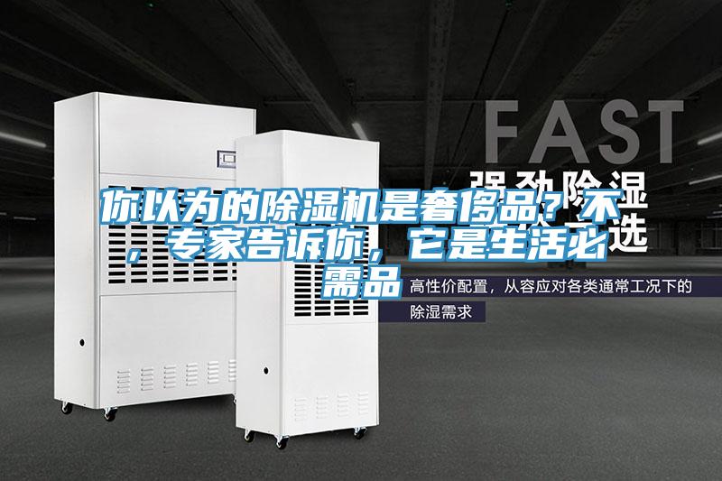 你以為的除濕機是奢侈品？不，專家告訴你，它是生活必需品