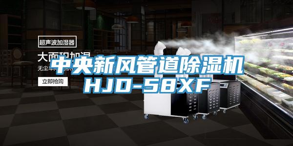 中央新風(fēng)管道除濕機(jī)HJD-58XF