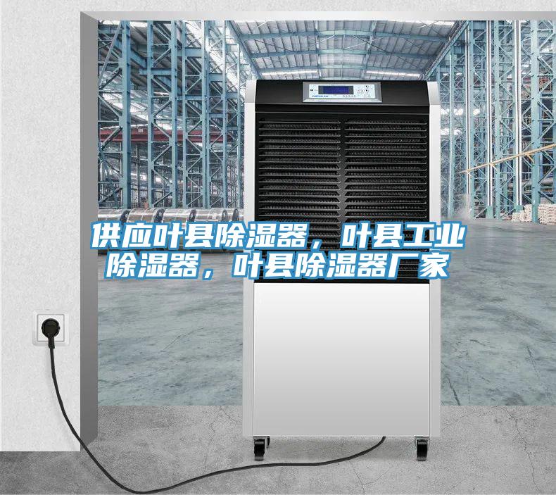 供應葉縣除濕器，葉縣工業(yè)除濕器，葉縣除濕器廠家
