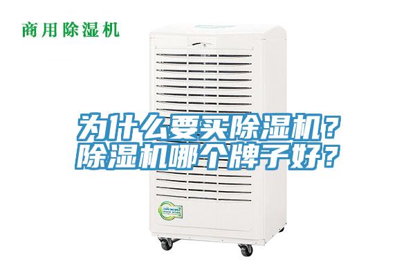 為什么要買除濕機(jī)？除濕機(jī)哪個(gè)牌子好？