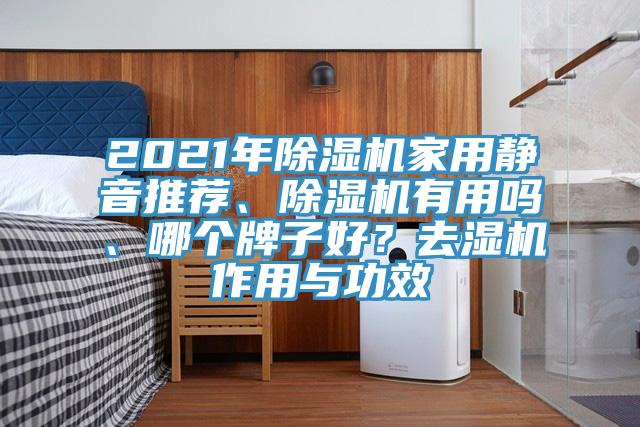 2021年除濕機(jī)家用靜音推薦、除濕機(jī)有用嗎、哪個(gè)牌子好？去濕機(jī)作用與功效
