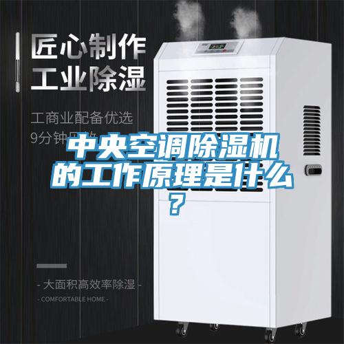 中央空調(diào)除濕機(jī)的工作原理是什么？