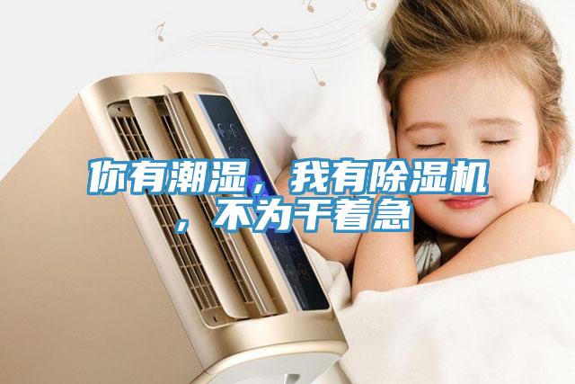 你有潮濕，我有除濕機，不為干著急
