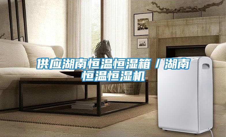 供應(yīng)湖南恒溫恒濕箱／湖南恒溫恒濕機