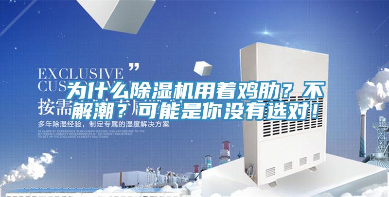 為什么除濕機(jī)用著雞肋？不解潮？可能是你沒有選對！