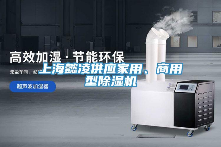 上海懿凌供應(yīng)家用、商用型除濕機(jī)