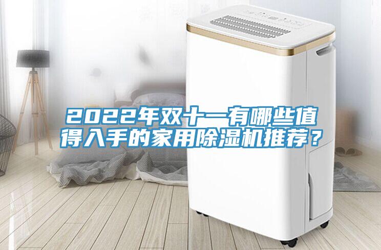 2022年雙十一有哪些值得入手的家用除濕機(jī)推薦？