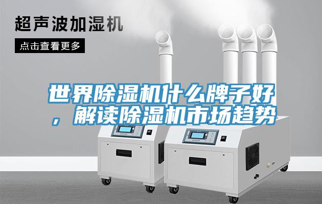 世界除濕機(jī)什么牌子好，解讀除濕機(jī)市場(chǎng)趨勢(shì)
