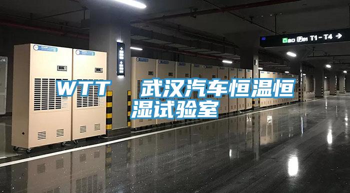 WTT  武漢汽車(chē)恒溫恒濕試驗(yàn)室